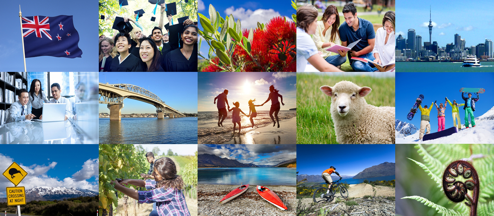 Read more about the article How to become an Accredited employer for a work visa