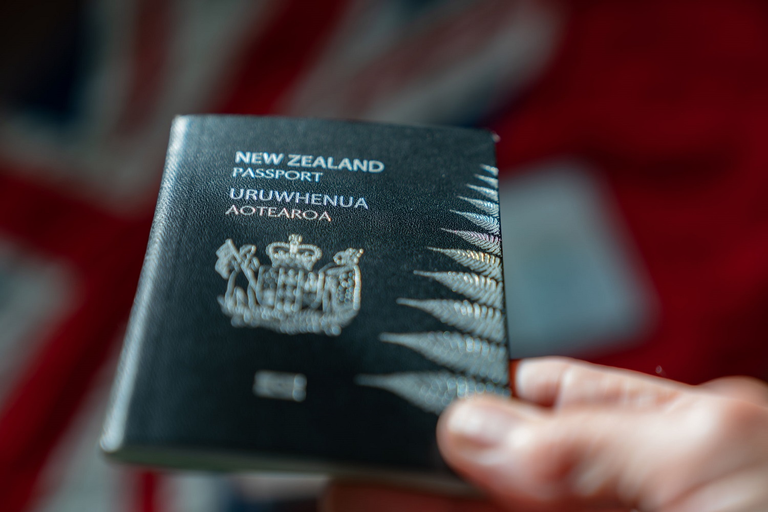 Read more about the article WELFARE ASSISTANCE FOR FOREIGN NATIONALS IN NZ