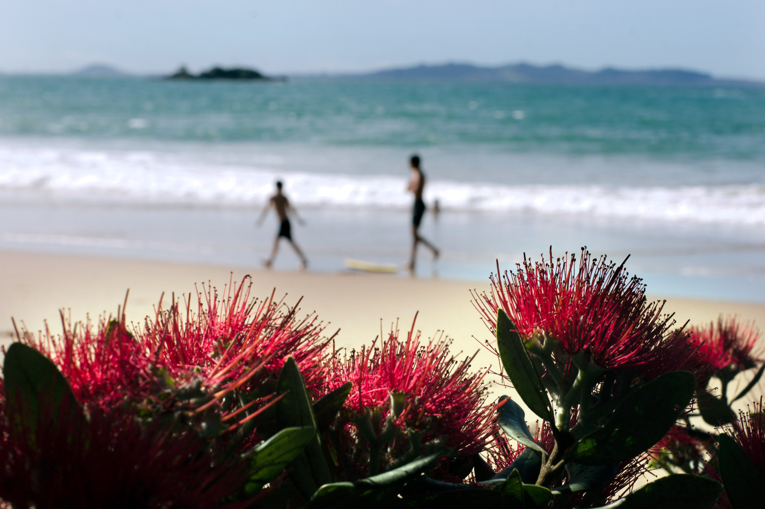 Read more about the article Merry Christmas From the team at ASPAC Immigration